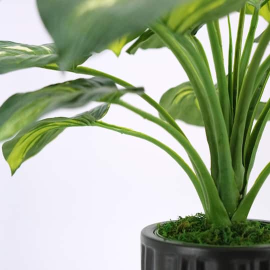 House of Silk Flowers 24" Small Faux Hosta in Classic Matte Black Ceramic Planter